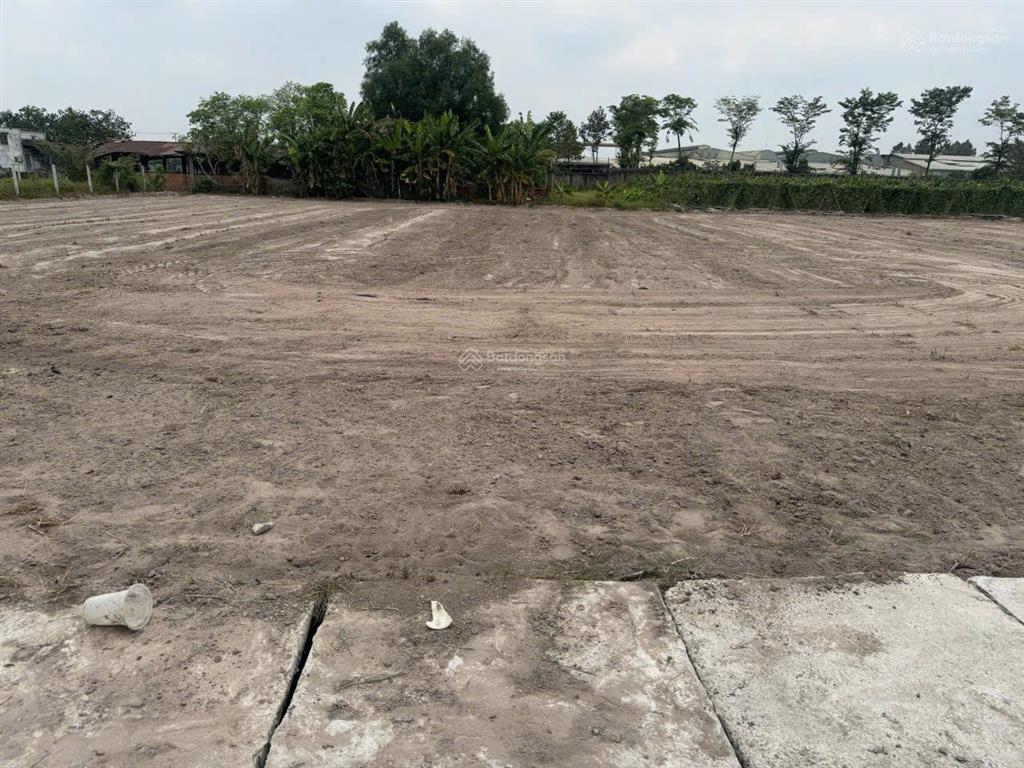Bán lỗ lô đất 810m² có thổ cư 1 tỷ 4 gần đường tỉnh lộ 7, xã thái mỹ, huyện củ chi