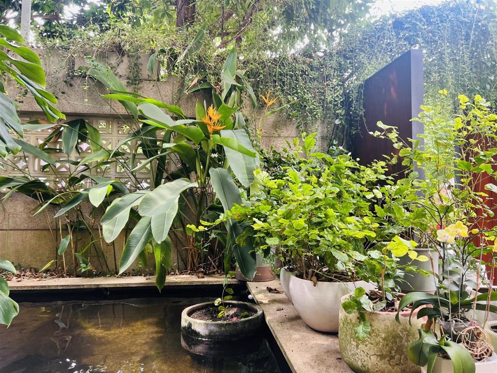 Biệt thự cổ điển đường phổ quang, tân bình, dt khủng 250m2, giá 25 tỷ, không có căn thứ 2 so sánh