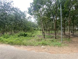 Công ty đấu giá hợp danh trực tuyến việt nam (vnoa) thông báo đấu giá tài sản