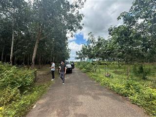 Công ty đấu giá hợp danh trực tuyến việt nam (vnoa) thông báo đấu giá tài sản