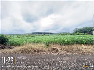 Công ty đấu giá hợp danh trực tuyến việt nam (vnoa) thông báo đấu giá tài sản