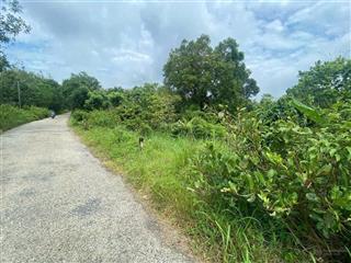 Công ty đấu giá hợp danh trực tuyến việt nam (vnoa) thông báo đấu giá tài sản