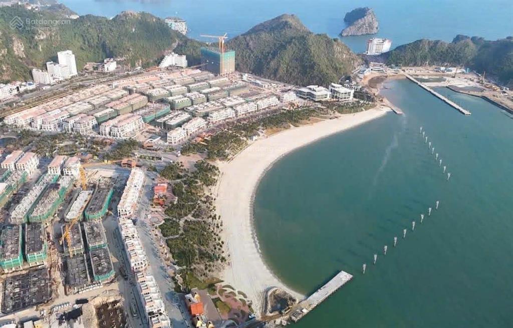 Xanh island bản giao hưởng giữa đại dương và rừng già ngay tại quần đảo cát bà