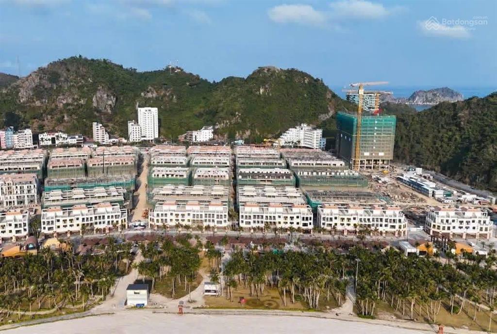 Xanh island bản giao hưởng giữa đại dương và rừng già ngay tại quần đảo cát bà