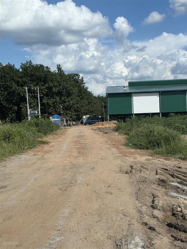 Bán gấp xưởng mới xây tại phú giáo, dt 24.000m2 dtx 6000m2 skc đóng 1 lần, có hoàn công, 50 tỷ