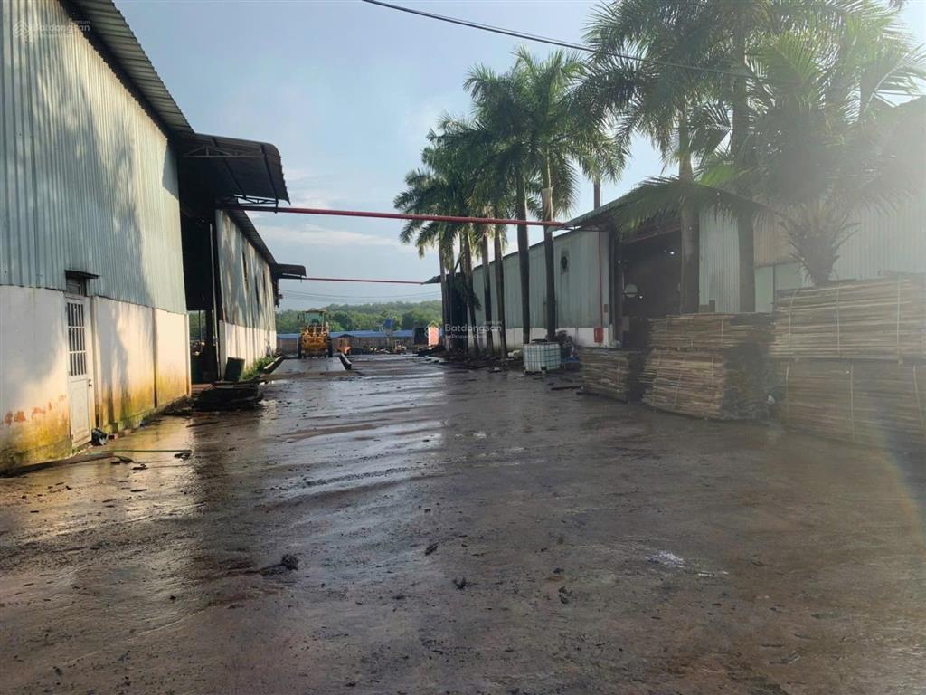 Bán xưởng 25.000m2 đang cho thuê 600tr 1tháng xưởng giấy tờ hoàn công đầy đủ , mặt tiền nhựa