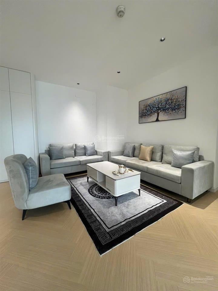 Sos bán căn chung cư luxury lô góc hoa hậu của tòa 165b sông hồng park view, chủ để giá cho ace đt