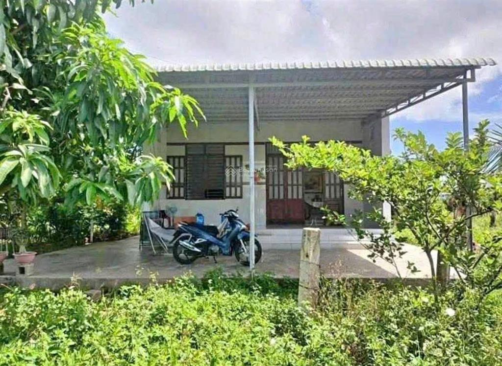 Chưa đến 980 triệu sở hữu ngay lô nhà vườn xã trừ văn thố, bàu bàng cách chợ bàu bàng 5 phút đi xe