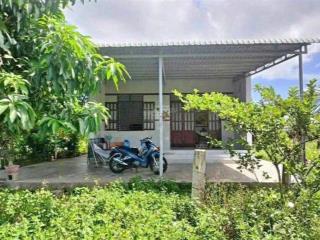Chưa đến 980 triệu sở hữu ngay lô nhà vườn xã trừ văn thố, bàu bàng cách chợ bàu bàng 5 phút đi xe