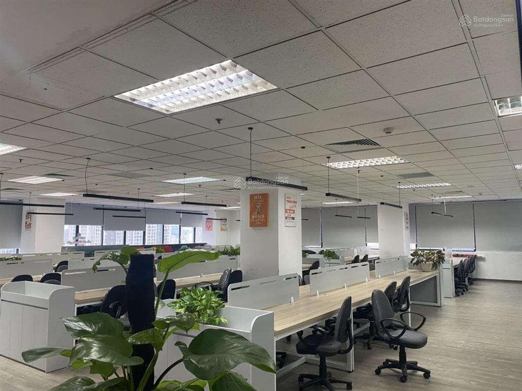 Cho thuê vp tại 25t1 hoàng đạo thúy, lê văn lương  dt 200m2, giá 250 ng/m2/th
