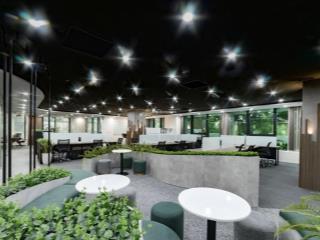 Bql cho thuê diamond lê văn lương 320m2 có nội thất cơ bản rất đẹp vào làm việc được luôn
