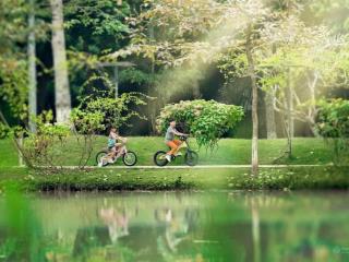 Chính chủ bán căn góc 3pn đẹp the fibonan  kđt ecopark, tháng 5  2026 nhận nhà!