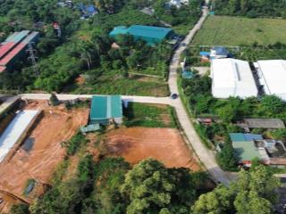 Cần bán gấp lô đất 2000m2 lương sơn hoà bình