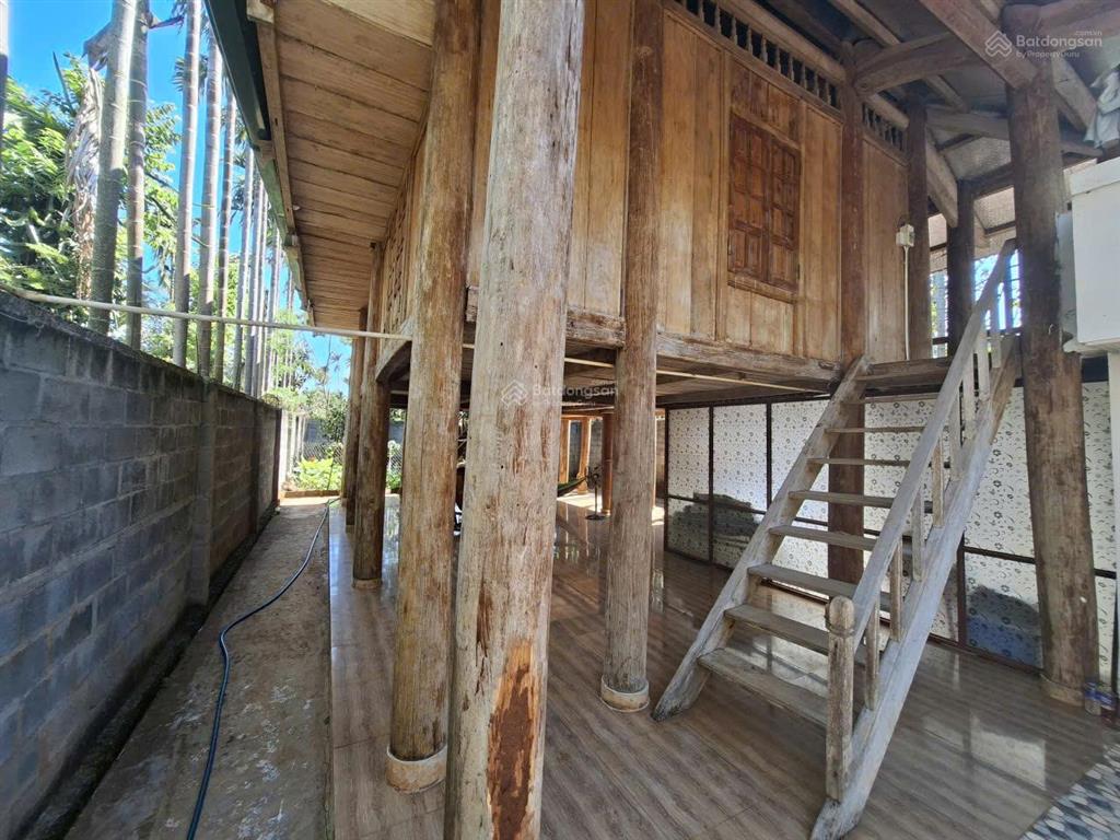 Bán nhà vườn, p. tân an, tp buôn ma thuột, đắk lắk, giá 3,65 tỷ