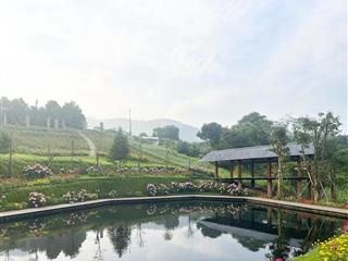 Bán đất tại đt 725, 4,5 triệu / m2, 150m2, bảo lâm, lâm đồng, view đẹp, có thác suối và hồ