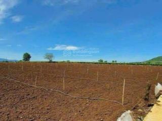 Đất bảo lộc giá 490 triệu diện tích 500m2