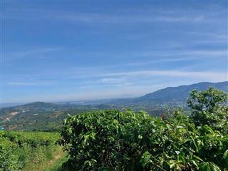 Đất bảo lộc 680 triệu | diện tích 600m2 | view đồi