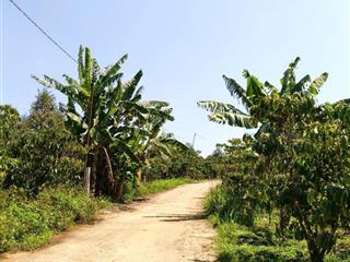 1200m2 đất farm bảo lâm 2 | có suối tự nhiên | làm nhà vườn nghỉ dưỡng | giá bán 2 tỷ