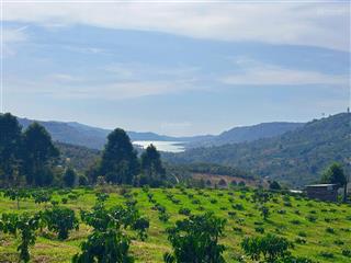 Bán lô đất biệt thự view hồ ngọc, phường 2 bảo lộc