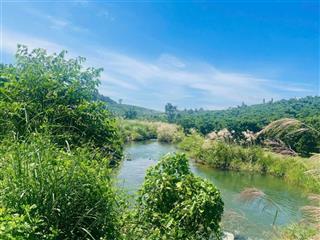 Đất vườn đẹp view đồi thông, giáp suối, giá chỉ 1,2 triệu/m2!