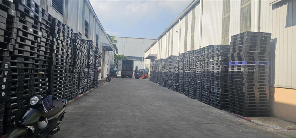 Cho thuê kho chứa tại cụm phố nối a. hspl xuất vat đầy đủ