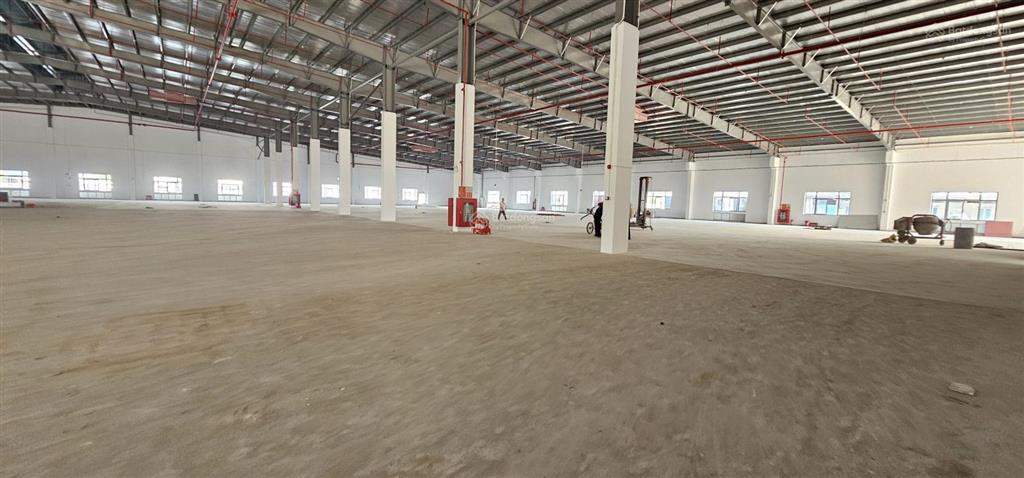 Cho thuê kho vip, tiêu chuẩn fdi, cao 15m tại quất động