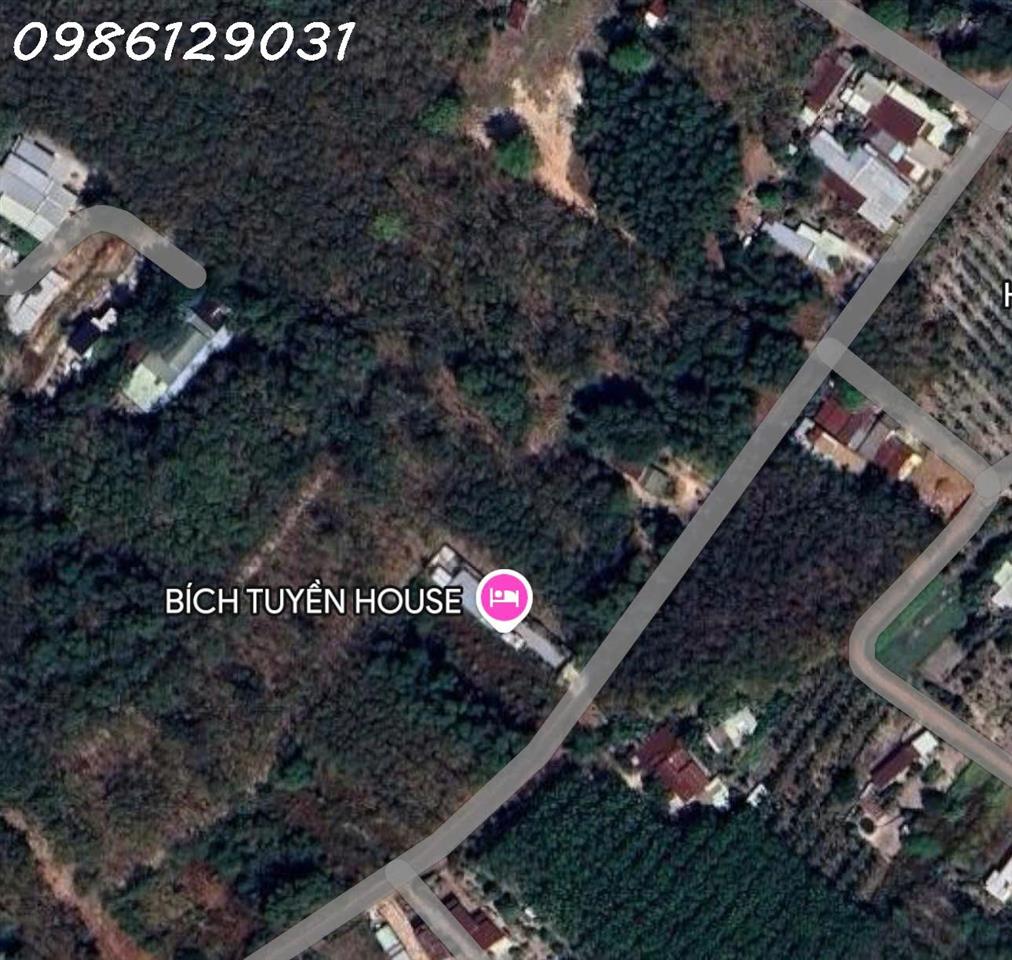 Cần tiền bán nhanh lô đất xã Long Hòa, TP Hồ Chí Minh, DT 473,7m2, view đẹp