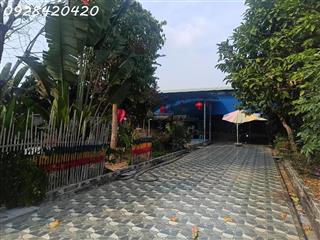 Bán GẤP nhà vườn 6145m full hồng riêng 300m thổ cư hồ bơi, nhà mới chỉ 5 tỷ (giá ngộp)