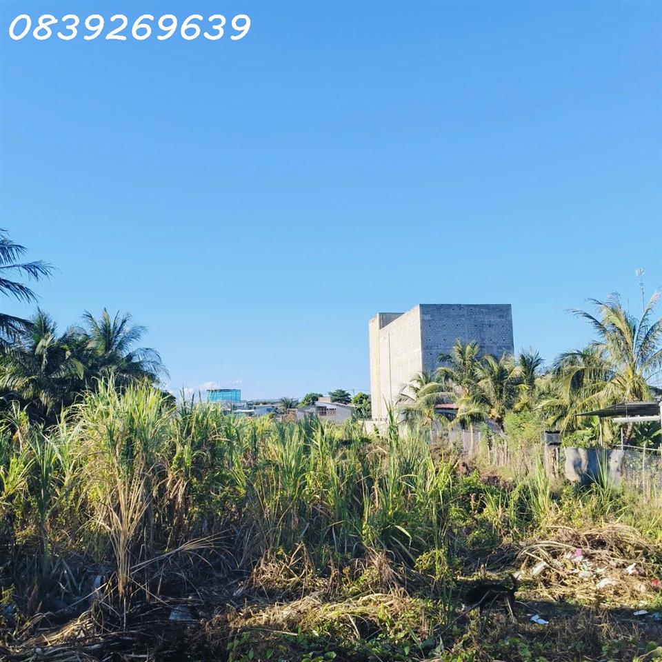 Bán đất NN Đạo Long, gần ngã 3 An Long, cách đường Thống Nhất 300m