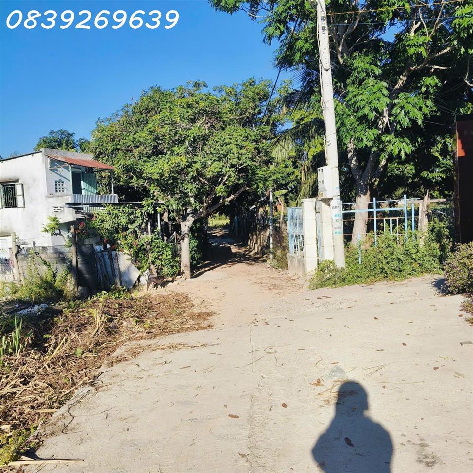 Bán đất NN Đạo Long, gần ngã 3 An Long, cách đường Thống Nhất 300m