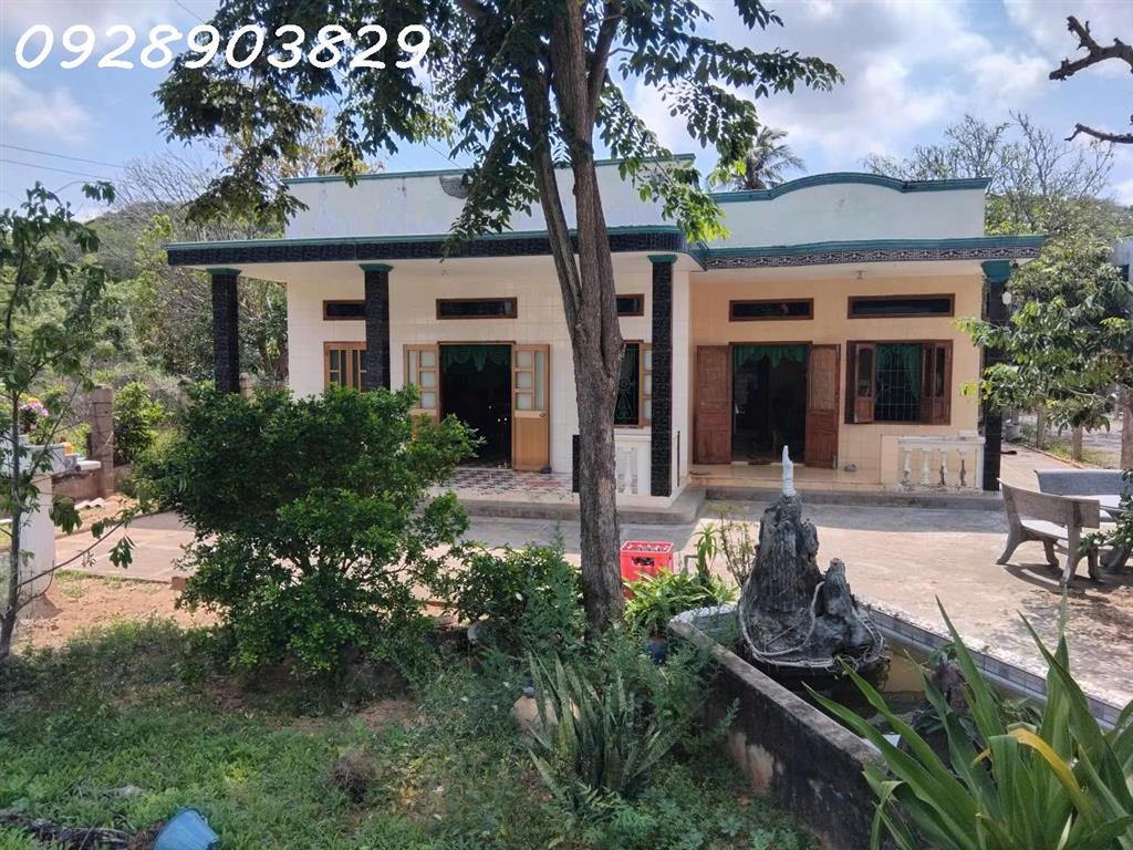Cần bán gấp 1067m2 đất tại Lạc Long Quân, Tiến Thành, TP. Phan Thiết, giá bán 16 tỷ, hh 2%