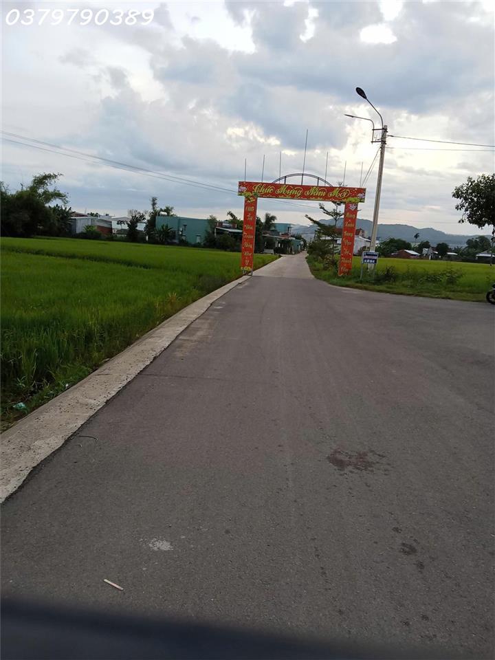 Chính chủ cần bán 140m2 tại Thôn Đại Lễ, Phước Hiệp, Tuy Phước, giá đầu tư