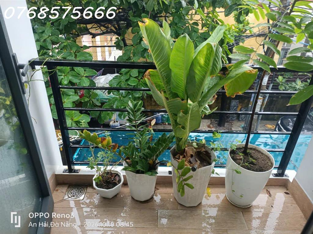 CHO THUÊ PHÒNG MẶT TIỀN TẦNG 2 — SỐ 51 AN TRUNG ĐÔNG 7
