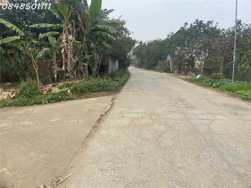 Em lên cho anh/chị quý nhà đầu tư nhà vườn tại xã Bằng Luân - Đoan Hùng - Phú Thọ