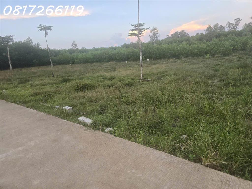 Cần bán nhanh lô đất đẹp xã Thọ Phong, Tỉnh Quảng Ngãi, 123,9m2, 1,080 tỉ