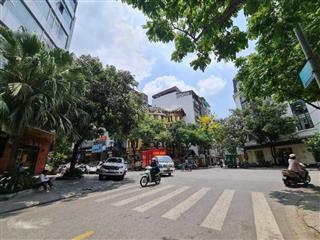 Chính chủ hoàng ngân, thanh xuân dt 68m2 mt 5,5m x 5 tầng