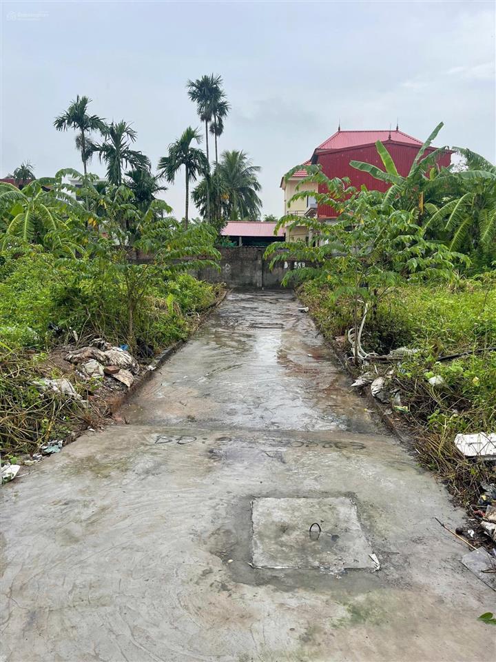 Cần tiền bán gấp lô 50m2 ngõ 136 hải phong, dương kinh