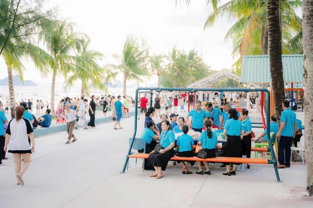 Chính chủ bán đất nền dự án kđt phương đông vân đồn qn, lô xẻ khe đẹp 87,5m2, giá cực rẻ