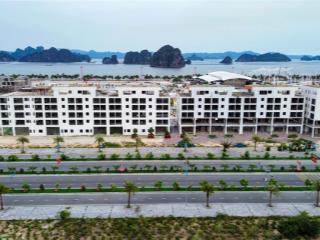 Chính chủ bán đất nền dự án kđt phương đông vân đồn qn, lô xẻ khe đẹp 87,5m2, giá cực rẻ