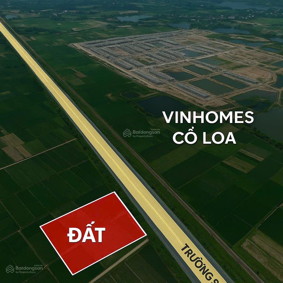 Bán đất thương mại siêu hiếm  quy hoạch 536 tầng  giá chỉ 35 triệu/m2  đối diện vinhomes cổ loa