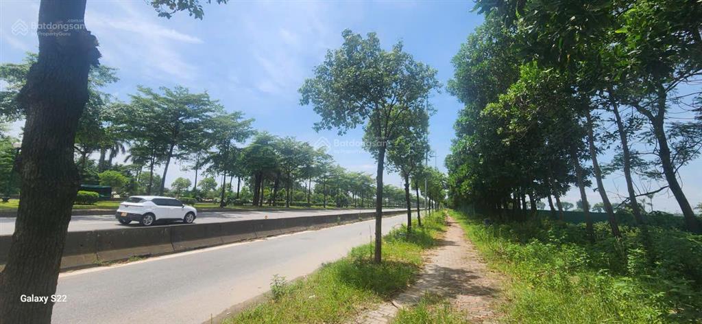 Bán đất thương mại siêu hiếm  quy hoạch 536 tầng  giá chỉ 35 triệu/m2  đối diện vinhomes cổ loa