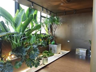 Bán nhà đẹp vũ trọng khánh, mỗ lao, hà đông 38m2 x 6 tầng, ô tô, kinh doanh đỉnh, gần ga metro