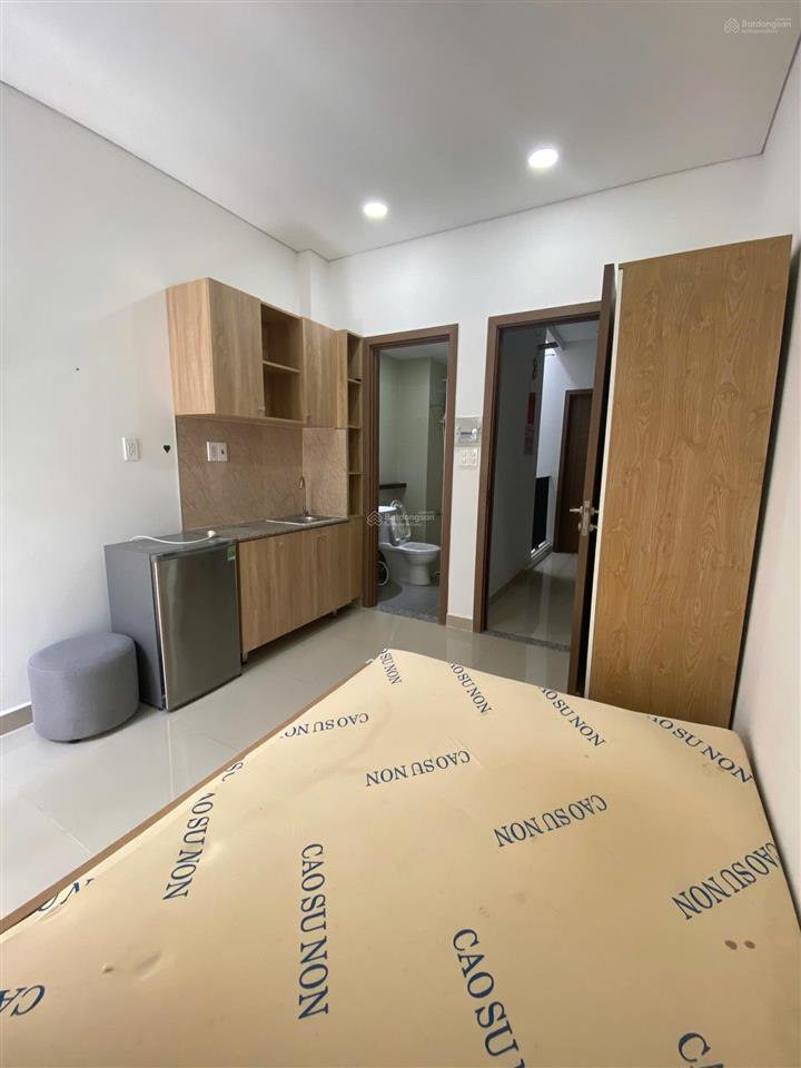 Cho thuê cc mini đẹp 4 triệu, 20m2 ở gò ô môi, q7, tp.hcm