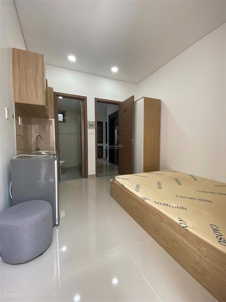 Cho thuê cc mini đẹp 4 triệu, 20m2 ở gò ô môi, q7, tp.hcm