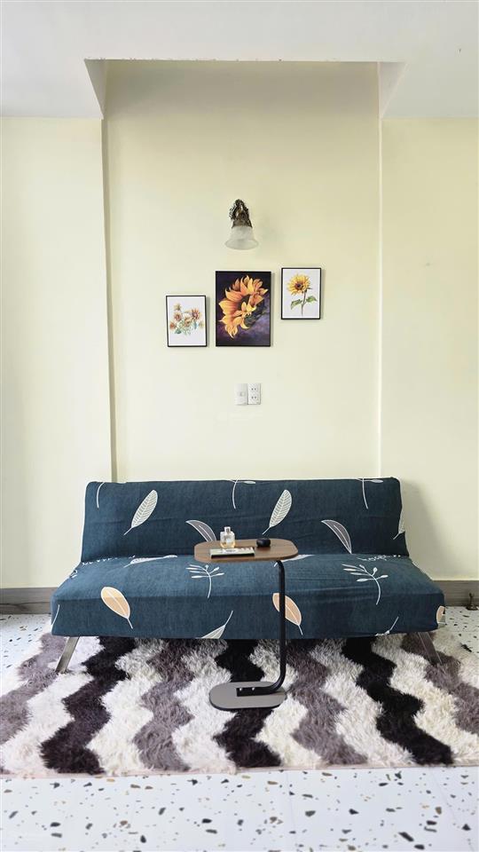 Cho thuê cc mini 6 triệu, 35m2 tại tân thuận tây, quận 7, giá siêu hời, đẹp, nhiều tiện ích
