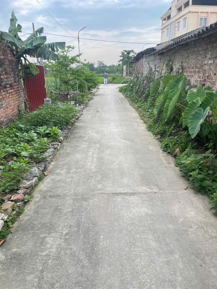 Chính chủ gửi bán lô đất đẹp dưới ứng hòa  vị trí cực tiềm năng, đường thông thoáng