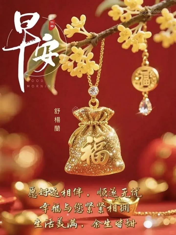 Ngoại giao penhouse duplex, diamond flower tower, 586 m2. giá vip