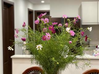 Cập nhật căn hộ epic's home đẹp tp giao lưu, 76 m2, 2 pn, view hồ! hot 6,94 tỷ.