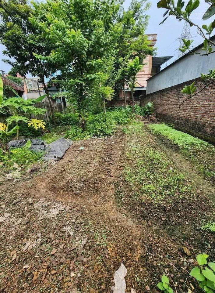 Bán mảnh đất 138 m2 tại đình vỹ, yên thường, gia lâm.