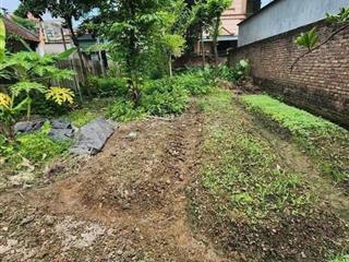 Bán mảnh đất 138 m2 tại đình vỹ, yên thường, gia lâm.